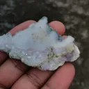 specimen video