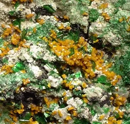 Kasolite, Torbernite, Malachite - image 2