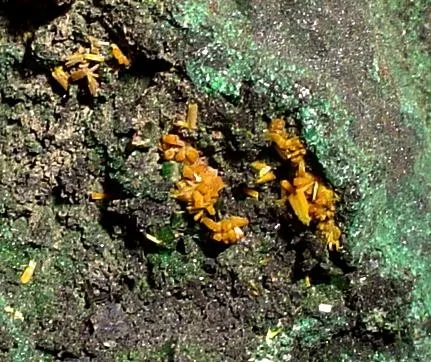 Kasolite, Torbernite, Malachite - image 2