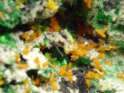 Kasolite With Metatorbernite and Malachite - image 3