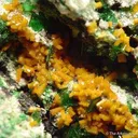 Kasolite With Metatorbernite and Malachite - image 2