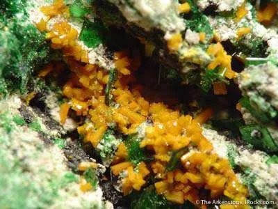 Kasolite With Metatorbernite and Malachite - image 2