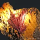 Kermesite - image 2