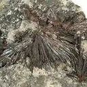 Kermesite - image 2