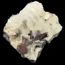 Kermesite, Calcite - image 1