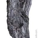 Kermesite with Paakkonenite - image 2