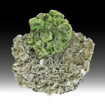 Kesterite with Mushistonite, Muscovite