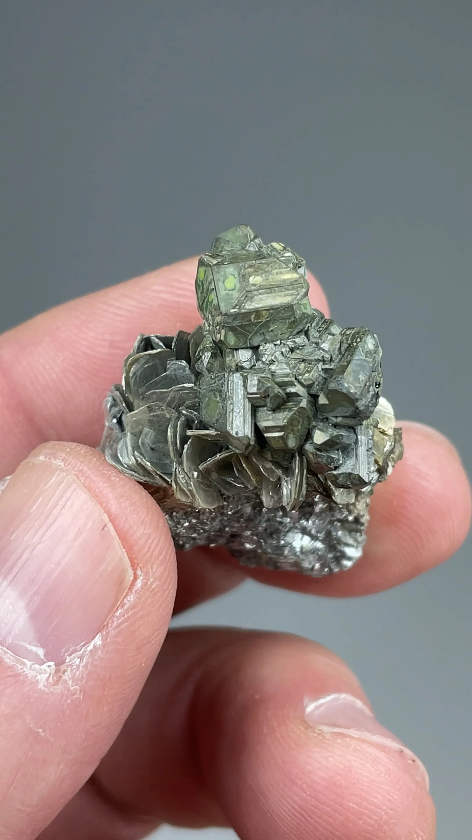 Kesterite with Mushistonite, Muscovite - image 2