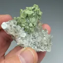 Kesterite with Mushistonite, Muscovite - image 2