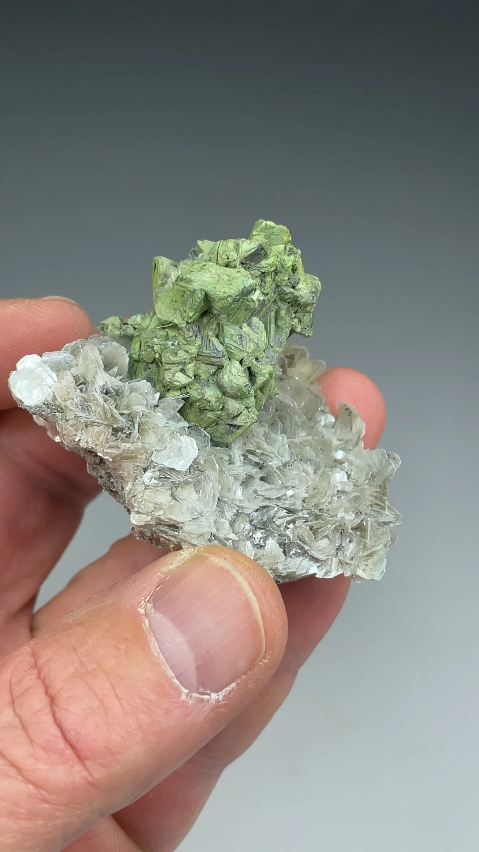 Kesterite with Mushistonite, Muscovite - image 2