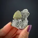 Kësterite with Mushistonite on Muscovite - image 2
