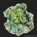 Kesterite with Mushistonite on Muscovite - image 2