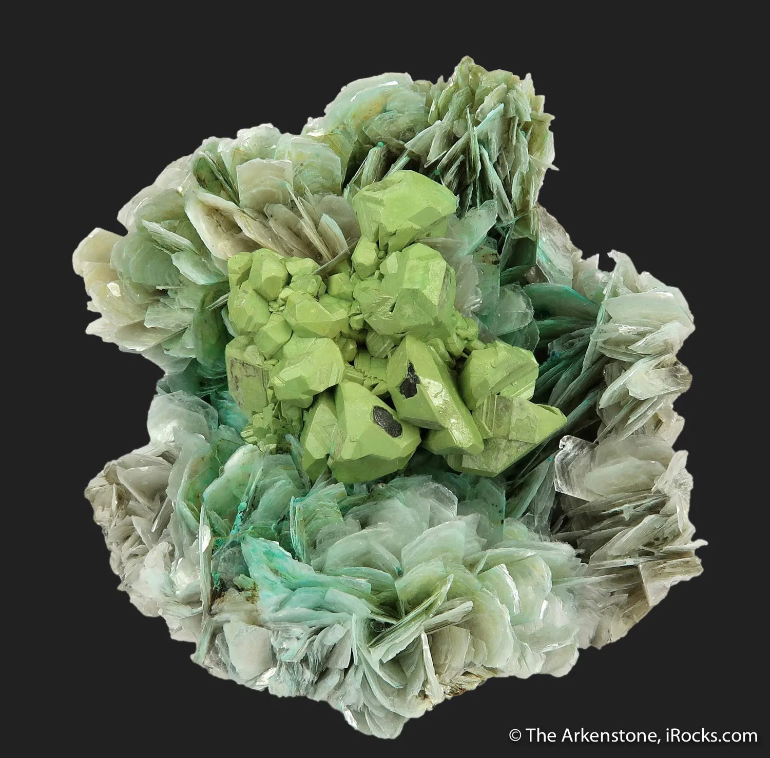 Kesterite with Mushistonite on Muscovite - image 2