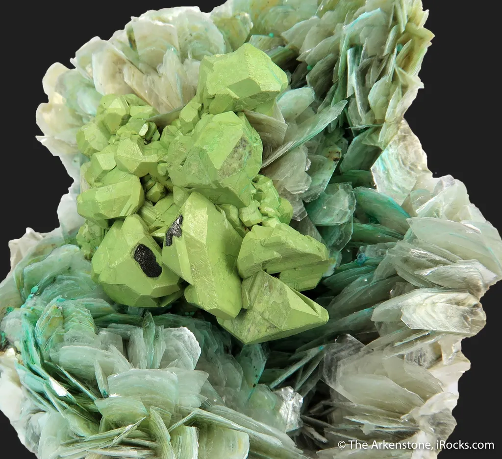 Kesterite with Mushistonite on Muscovite image