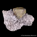Kësterite with Mushistonite on Muscovite - image 1