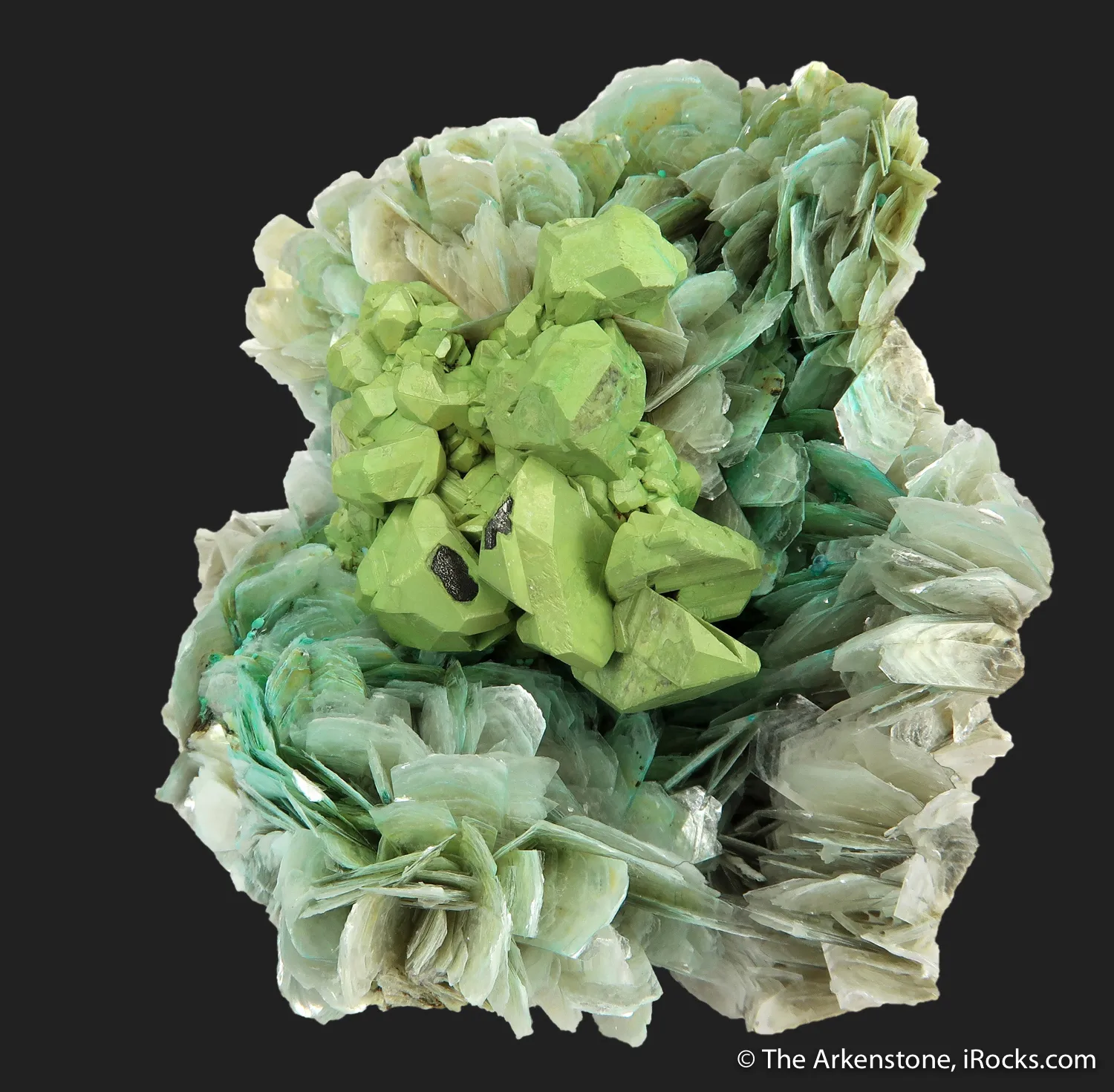 Kesterite with Mushistonite on Muscovite - image 3