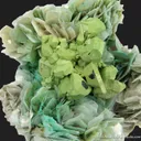 Kesterite with Mushistonite on Muscovite - image 5