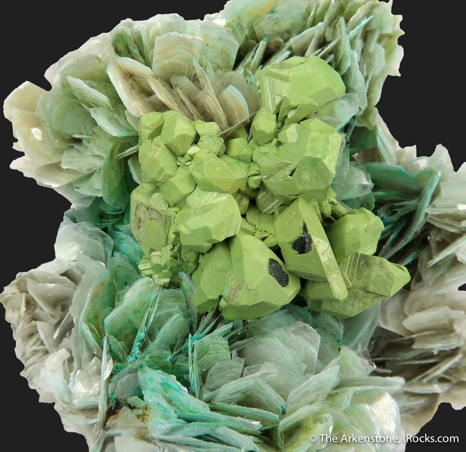 Kesterite with Mushistonite on Muscovite - image 5