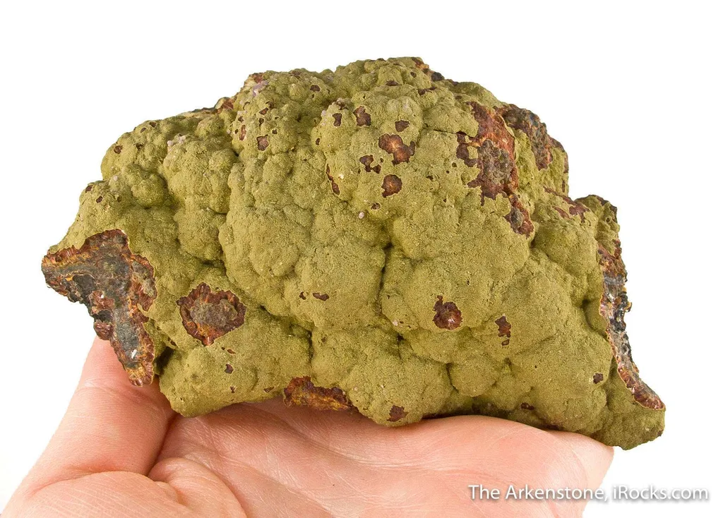 Kidwellite with Strengite on Beraunite, Dufrenite and Rockbridgeite (?) - image 6