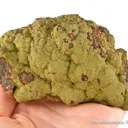 Kidwellite with Strengite on Beraunite, Dufrenite and Rockbridgeite (?) - image 6