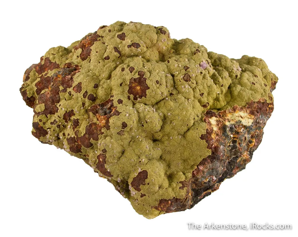 Kidwellite with Strengite on Beraunite, Dufrenite and Rockbridgeite (?) - image 3