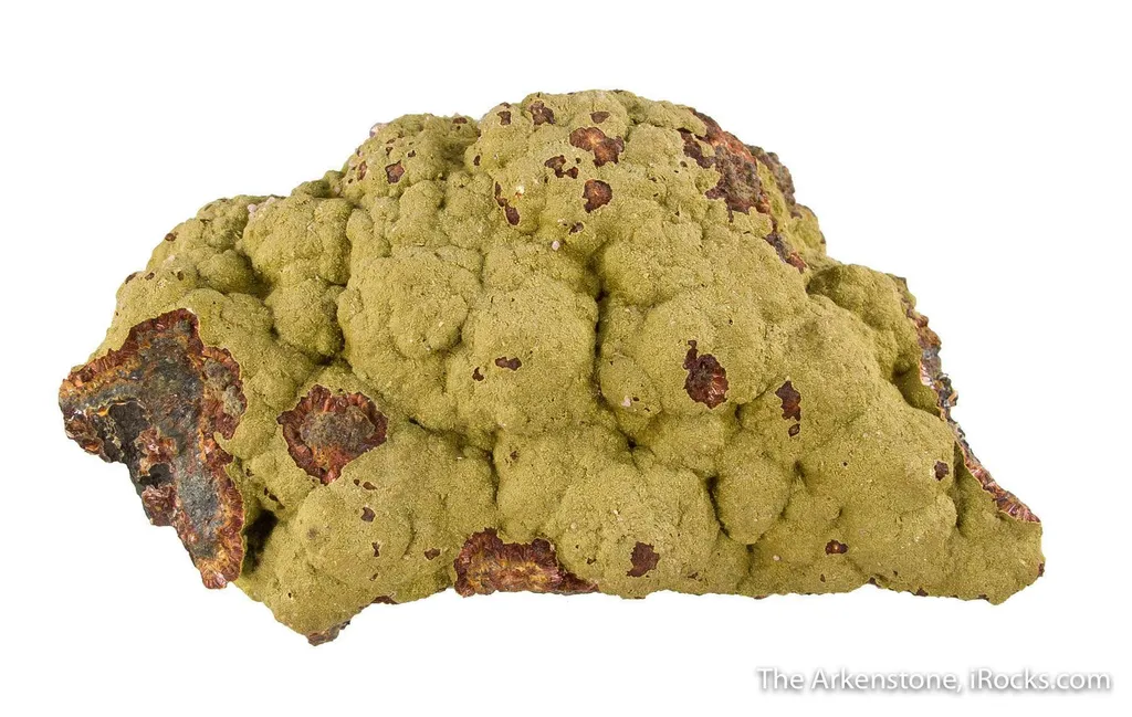 Kidwellite with Strengite on Beraunite, Dufrenite and Rockbridgeite (?) - image 2
