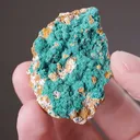 KIPUSHITE on Pseudomalachite - image 2