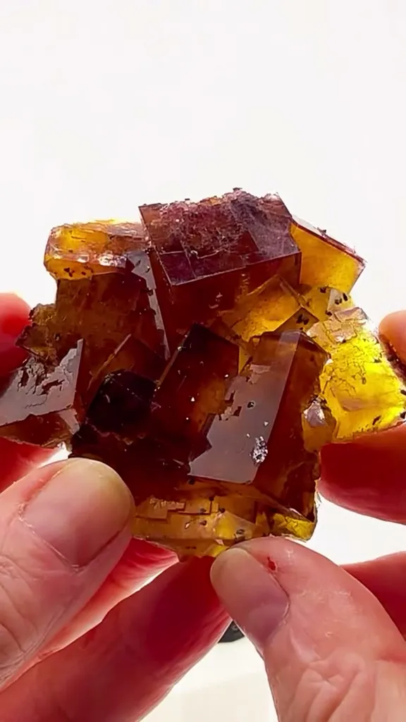Knicks up 2-0 in the Finals and somehow this Illinois Fluorite is still… image
