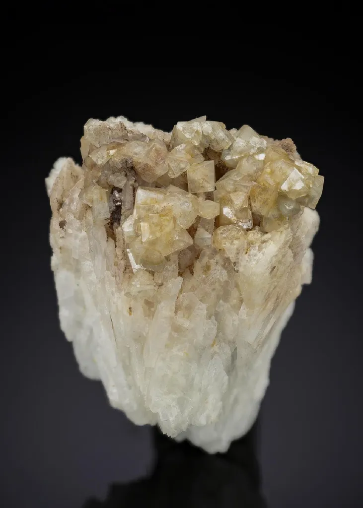 Kosnarite on Albite image