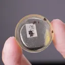 KOSTOVITE with NATIVE Gold Polished Section - image 2