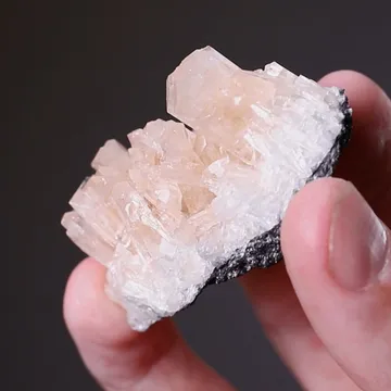 Kovdorskite