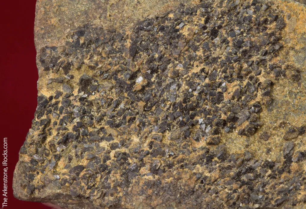 Kryzhanovskite with Siderite - image 3