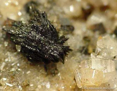 Kulanite, Apatite, Siderite, & Brazilianite - image 3