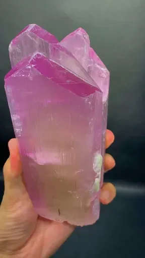 specimen video