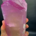 specimen video