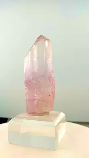 specimen video