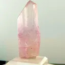 specimen video