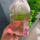 specimen video