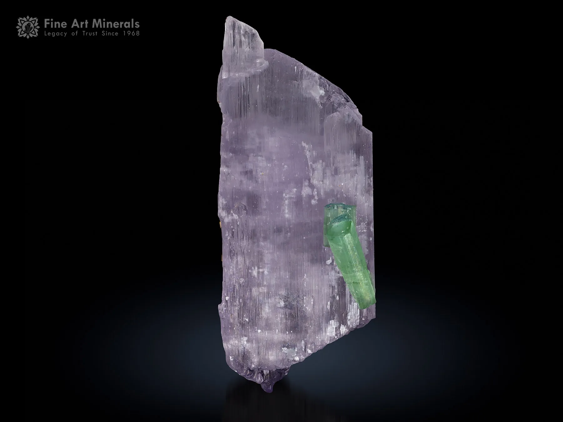 Kunzite Crystal with Tourmaline from Afghanistan - image 1