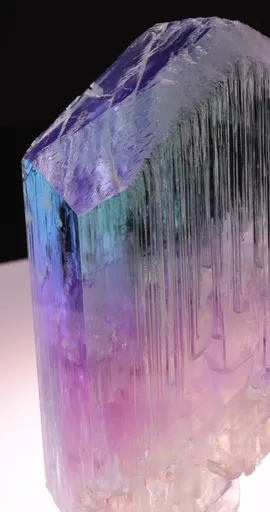 specimen video