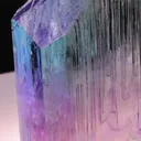 specimen video