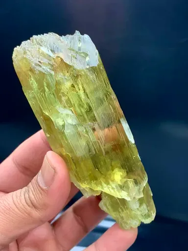 specimen video
