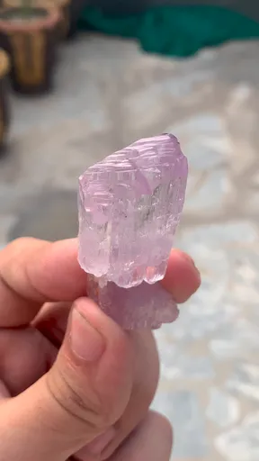 specimen video