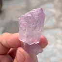specimen video
