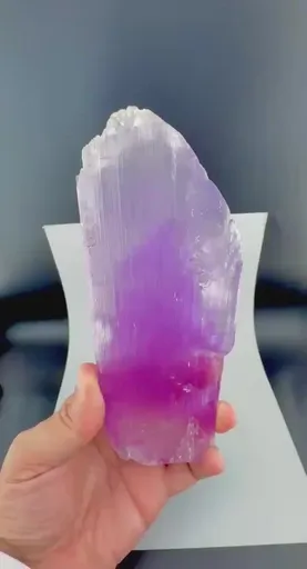 specimen video