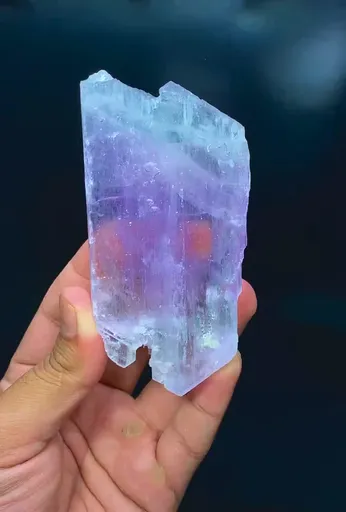 specimen video
