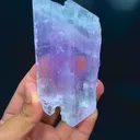 specimen video