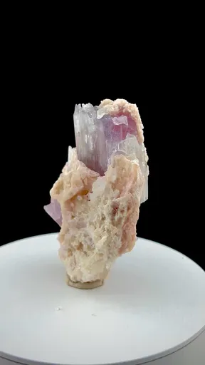 specimen video