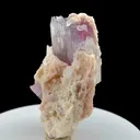 specimen video