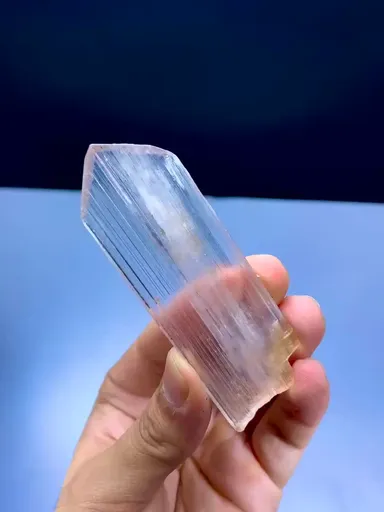 specimen video